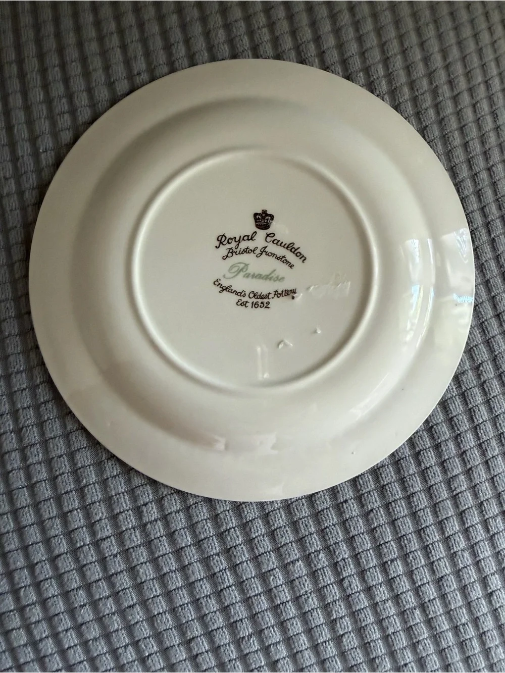 Decorative Floral Bird Ceramic Dinner Plate in Cream by Royal Cauldon Paradise